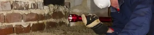 Pest control technician inspecting a crawl space for ant activity and entry points in Sterling Heights, MI