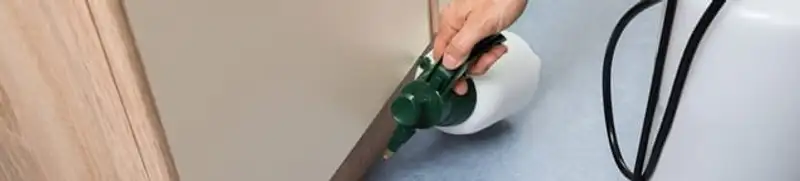 Bed bug exterminator treating baseboards and cracks with targeted spray in Sterling Heights, MI