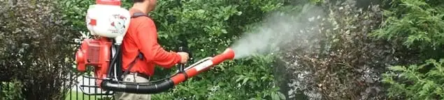 Mosquito control technician fogging shrubs and landscaping for mosquito treatment in Sterling Heights, MI