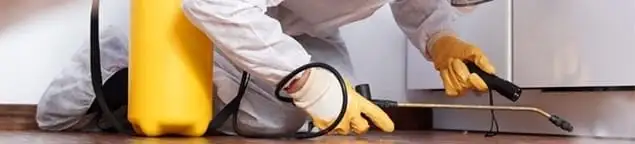 Roach exterminator treating cracks and crevices along kitchen baseboards in Sterling Heights, MI